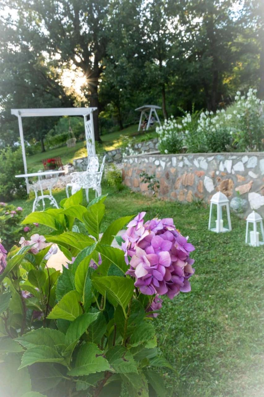 Pensiunea Casa Mircea & Restaurant Ieşelniţa Esterno foto